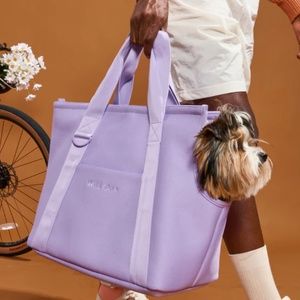 Wild One Lilac Everyday Dog Carrier